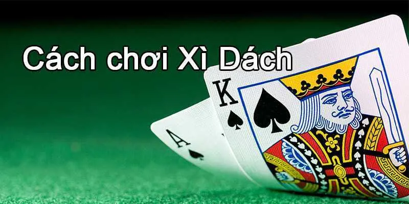 Cách thức tiến hành một ván Xì Dách